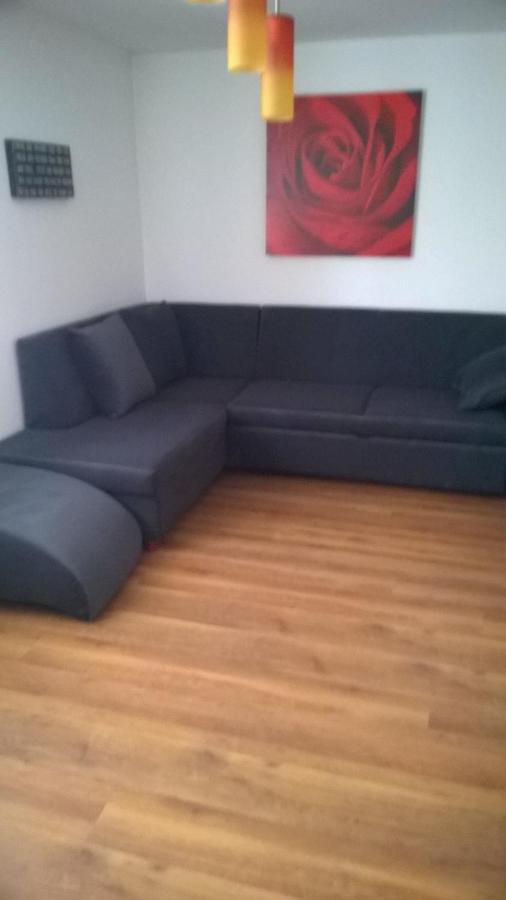 Appartement Apartament W Bieszczadach à Wolkowyja Extérieur photo